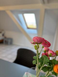 Buschhaus Whg 1 - 7