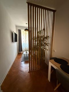 Panoramic Apartment Braşov - 1
