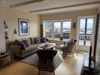 Bright, Open Apartment In Beitostølen - Beitostøl - 1