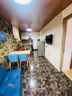 ბორჯომი საოჯახო სასტუმრო "გიომანი" Borjomi Guest House "GioMaNi" დასვენება ბორჯომში "GioMaNi" - 4