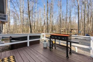 Firepit Game Room Seclusion and More - 6