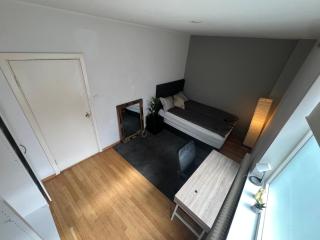 Spacious large Room in central Oslo Bogstadveien Majorstuen - 5