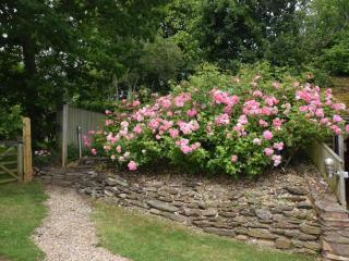 2 Bed in Bridgwater oc-chanp - 2