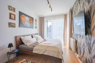 Czarny Słoń - elegancki apartament z klimatem - 7