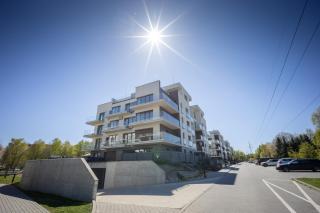 Czarny Słoń - elegancki apartament z klimatem - 3
