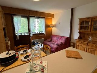 Studio cosy pour 4 pers., balcon, à Samoëns - FR-1-629-117 - 3