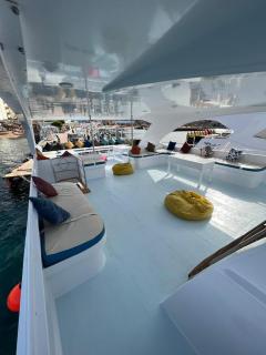 Dolphin House - 3