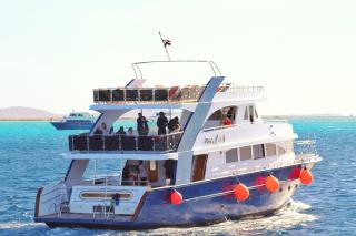 Dolphin House - 1
