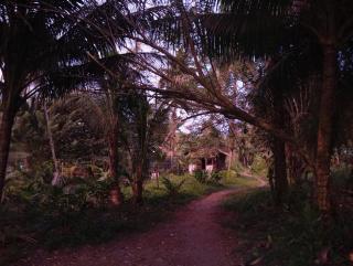 Charming Cabin Retreat in Buenaventura with Garden BBQ - 9