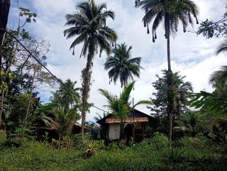 Charming Cabin Retreat in Buenaventura with Garden BBQ - 4