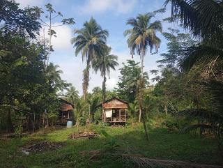 Charming Cabin Retreat in Buenaventura with Garden BBQ - 2