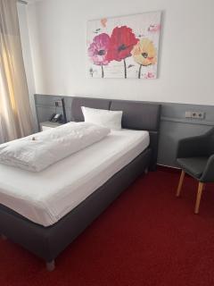 Parkhotel Krone Maleck - 1