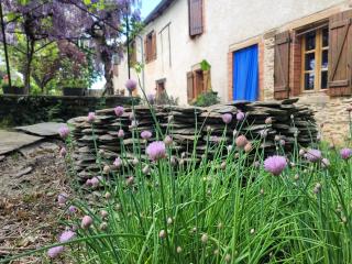 La ferme des grandes oreilles - 0