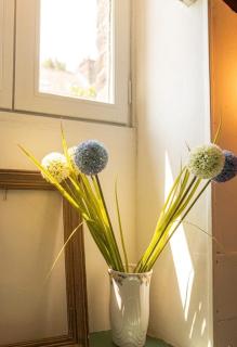 Clairière des fées en Brocéliande - 3