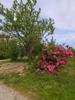 La Belangerie - 7