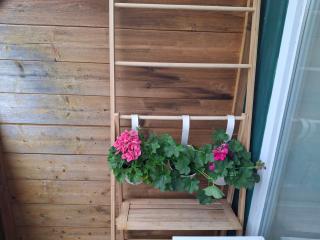 Alpine Studio near Bad Ischl - 8