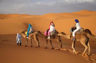 Desert Expérience Camp - 0