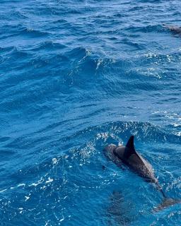 Orange bay - 1