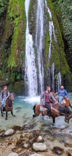 Guest House Balda - 4