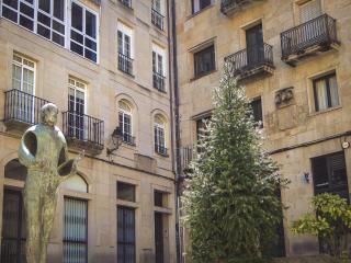 Charming Apartment in Ourense overlooking the City - 1