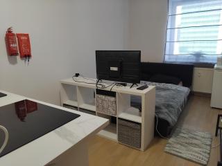 Cosy Studio flat in Colditz - 3