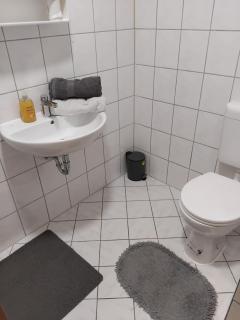 Cosy Studio flat in Colditz - 1