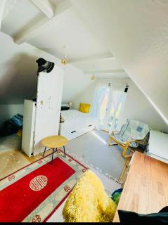 Apartment with free parring place and acces to the garden - 5