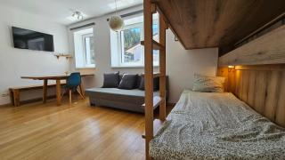 Ski & Sky Apartment - 1