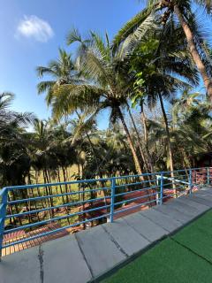 Mountain Breeze Wooden Cottages - 4