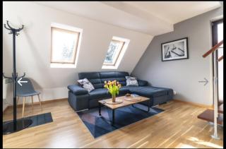 Butorowy Azyl - 7-osobowy apartament z widokiem na Tatry, placem zabaw i BBQ - 5