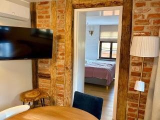 ToRUŃ ApartHotel z widokiem na Wisłę i Krzywą Wieżę - 5
