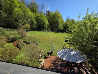 Le Moulin de mes garçons - 5