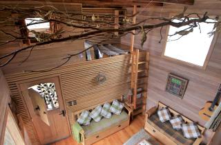 La Casa Del Árbol De Chiloé - 6