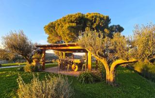 Agriturismo Mamma Maria - 9