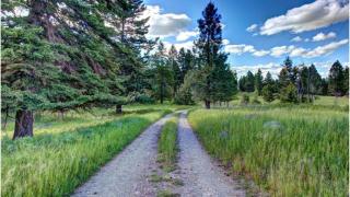 Where the Pines Meet the Sky - 5