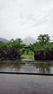 Flora Glamping de Abuela - 7