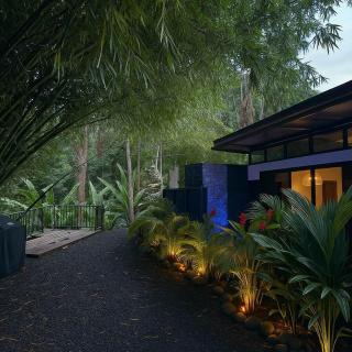 Romantic Private Pool Jungle Villa · Playa Cocles - 7