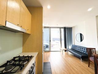 Entire city 2BR apt central - 2