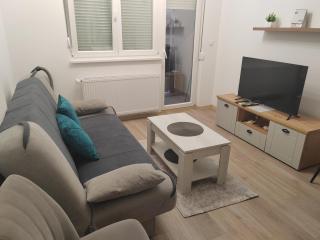 Apartman Simić Banja Koviljača - 4