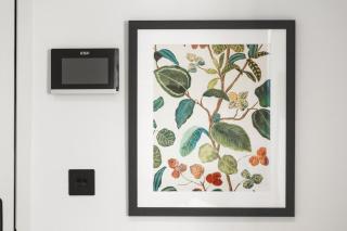 Contemporary London Living - Tottenham Hideaway - 1