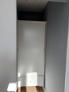 Bukszpan - 3