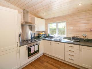 Dovestone Luxury Lodges sleeps 4- pet free - Oldham - 3
