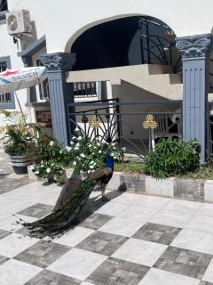 Cutting Edge Guest House - 8