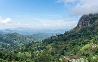 Ella Nature viwe Lodge - 4