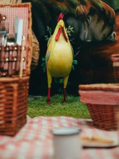 URBAN PIC NIC - 8