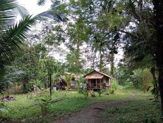 Serene Oceanfront Cabin Retreat in Buenaventura - 1