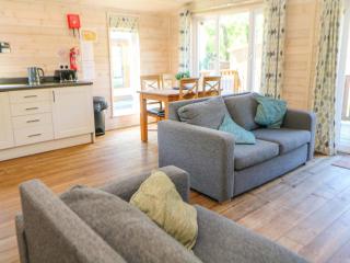 Dovestone Luxury Lodges sleeps 4 - pets welcome - 4