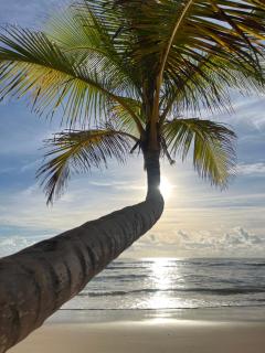 Riviera Garden - Apartamento em Taipu de Fora - Barra Grande - Maraú - 5