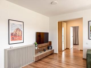 Modern Spacious Mountain View Apt - 2
