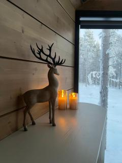 Levi Nordic Star Igloos - 6